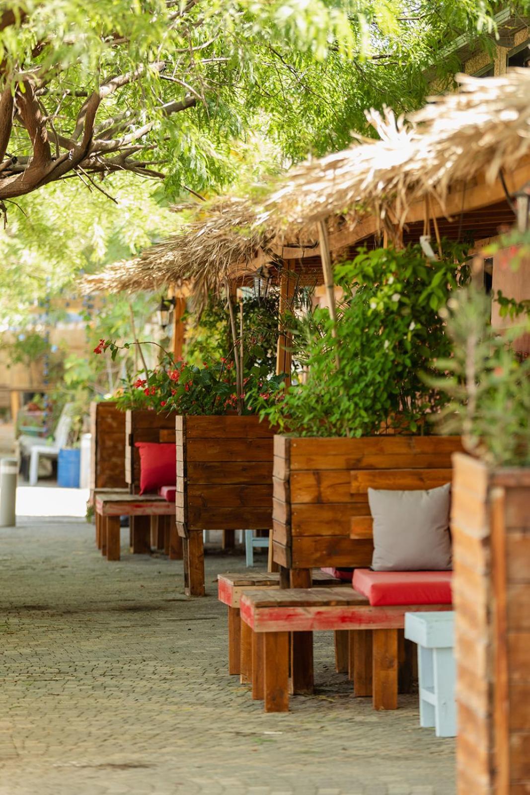Luna Resort - Micpe Ramon Zewnętrze zdjęcie